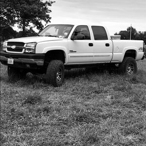 Meet your Posher, Roy